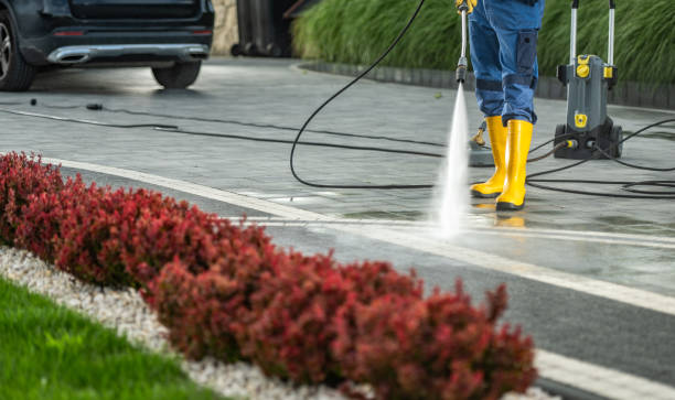 Best Pressure Washing Estimates  in Highland Park, MI